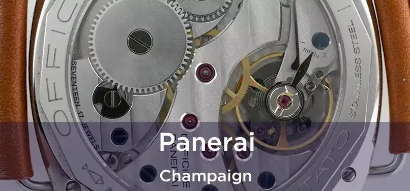 Panerai Champaign