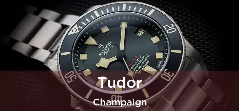 Tudor Champaign