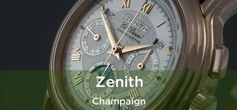 Zenith Champaign